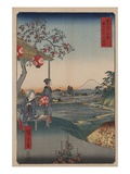 Fujimi Teahouse at Zoshigaya