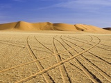 Tire Tracks in Desert