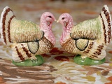 Turkey Saltcellar and Pepper Shaker Set