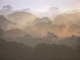 Morning Fog and Tropical Rainforest Canopy in Ecuador