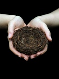 Birds Nest in Cupped Hands