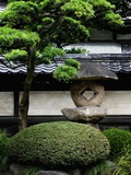 Garden in Senso-ji Temple
