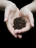 Handful of Cloves