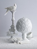 Dove with White Porcelain