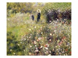 Summer Landscape