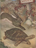 The Hare and the Tortoise