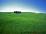 Coppice of Trees on Green Fields in Tuscany