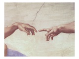 Hands of God and Adam  detail from The Creation of Adam  from the Sistine Ceiling  1511 / Michelang
