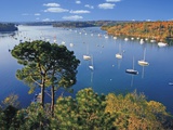 Sailboats Anchored on River