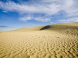Sand Dunes in the Great Sand Hills Ecological Reserve Near Sceptre  Saskatchewan  Canada