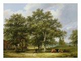 Cattle Grazing