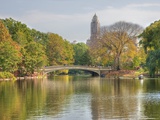 A Bridge in Central Park