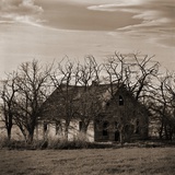 Abandoned House Surrounded by Trees