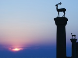 Stag Column