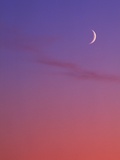 Evening Sky in Magenta with Crescent Moon - Background  Canada
