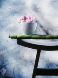 Lotus Flower Balanced on a Bowl