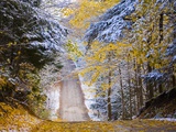 Rural road after snow