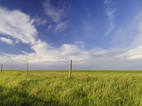 Active Prairie Sky and Farm Fenceline West of Calgary  Alberta  Canada