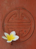 Long Life Symbol and Lotus Flower