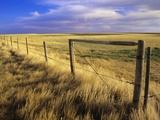 Fence Along Field  South West Saskatchewan  Canada