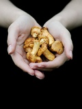 Handful of Mushrooms