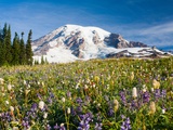 Mount rainier