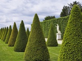 Gardens of Versailles