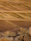Colorful cross-bedded sandstone at Coyote Buttes