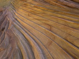 Colorful striated sandstone layers at Coyote Buttes