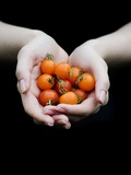 Handful of Tomatoes