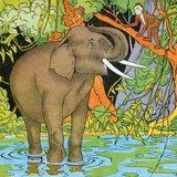 Elephant at watering hole