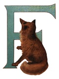 F Is For Fox