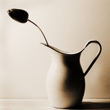 Dark Tulip in Old Enamel Water Pitcher