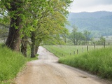 Rural Road in Cades Cove