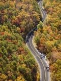 Road through Autumn forest