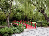 Footbridge over stream in garden
