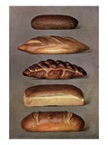 Illustration of five types of bread loaves