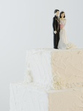 Wedding cake toppers on cake