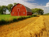 Barn  Myrtle  Manitoba