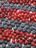 Cherries and blueberries  full frame