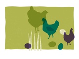 Chickens