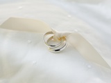 Two wedding rings tied with ribbon
