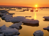 Ice Floes and Sunset  Hudson Bay  Churchill  Manitoba
