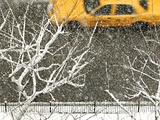 Yellow cab on Park Avenue in a snowstorm