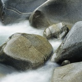 Westland National Park  South Island  New Zealand