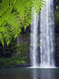Millaa Millaa falls on Atherton Tablelands