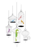 Birds in cages