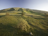 Tejon Ranch in California