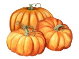 A Picture of Three Pumpkins