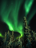 Aurora Borealis or Northern Lights  Yukon